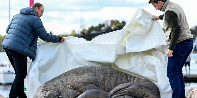 Life-size statue of beloved walrus controversially euthanized in Norway unveiled in capital - Fox News