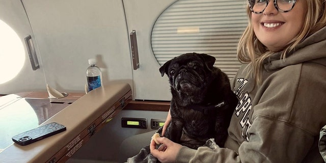 pug dog private jet