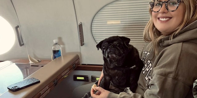pug dog private jet