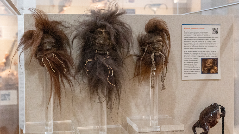 Shrunken heads on display at Unclaimed Baggage Museum.