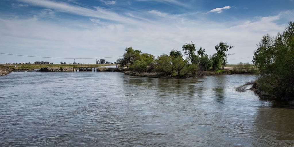 8-year-old girl dies in California, 4-year-old boy missing after the children get swept away in a river - Vimarsana News