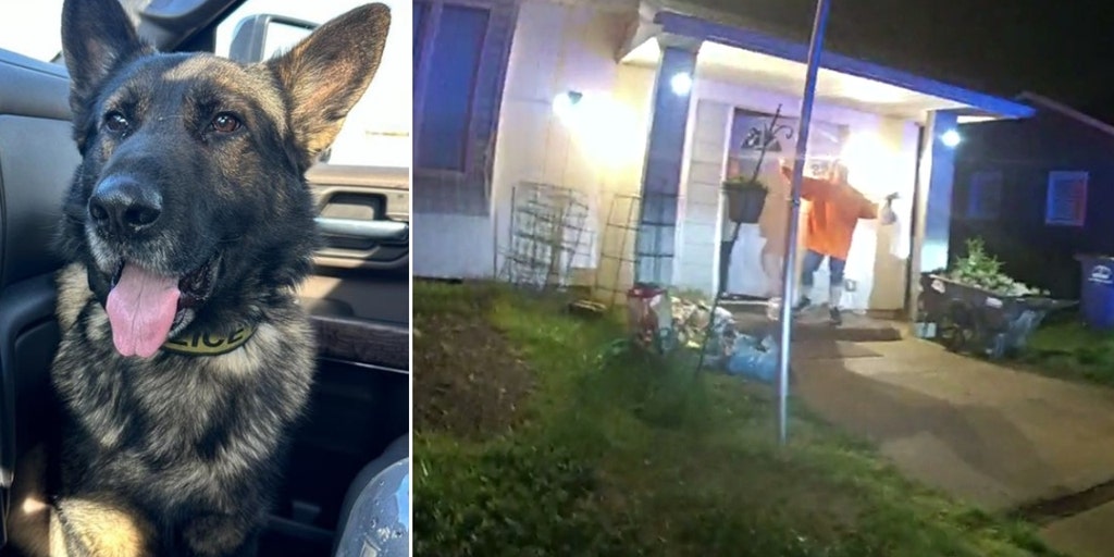 SEE IT: New Jersey 'neighbors from hell' allegedly try to run over police officers with car, injuring K9 - Vimarsana News
