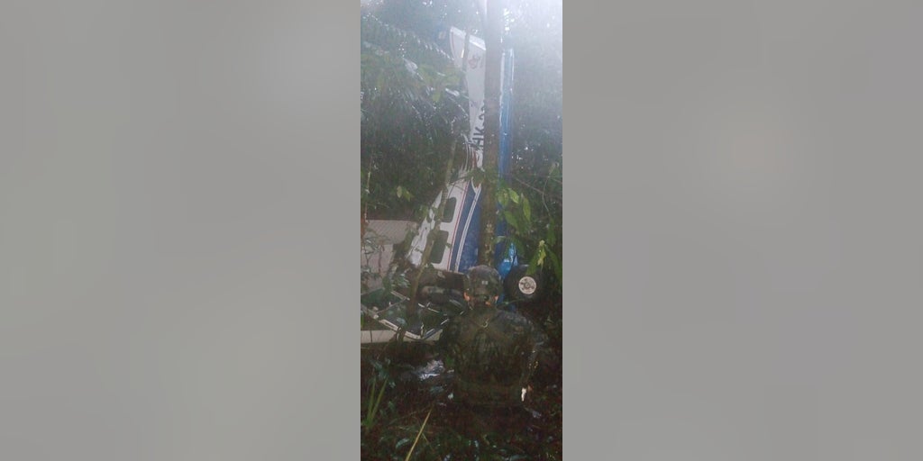 Colombia plane crash: Four child survivors found in Amazon rainforest two weeks later - Vimarsana News