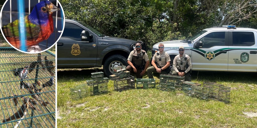 New Bird Trap Rule Helps Protect Florida Songbirds from Poaching