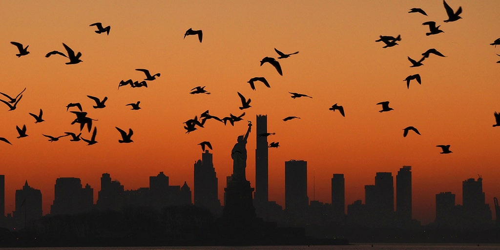 Prominent bird group to rename avians connected to racism, slavery, 'robbers of Indigenous graves' - Vimarsana News