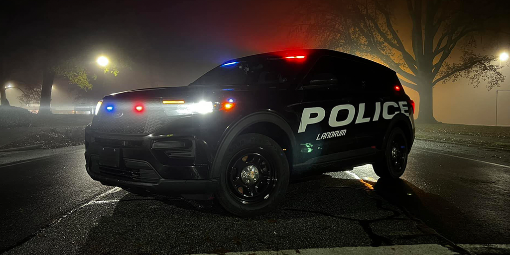 South Carolina woman found dead in wheelchair, boyfriend killed after charging police - Vimarsana News