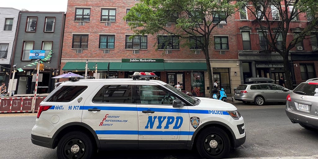 Twin daughters reportedly discover Brooklyn mom stabbed to death on day before Mother's Day - Vimarsana News