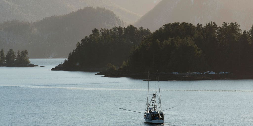 Judge ruling may end Southeast Alaska's commercial king salmon trolling - Vimarsana News