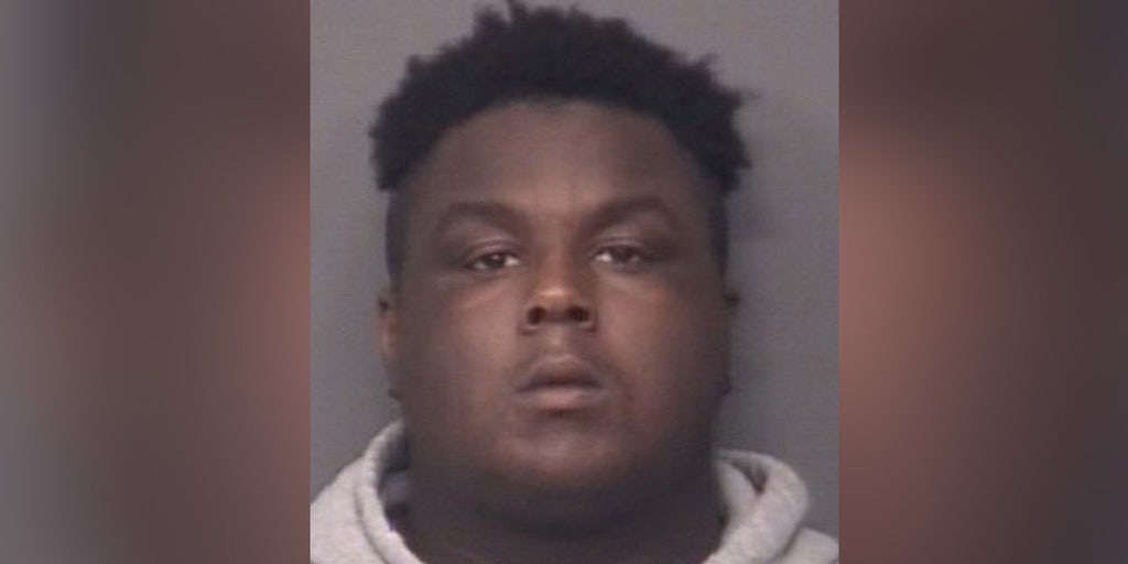 Illinois sex offender on probation suffocates 15-year-old, throws body in dumpster - Vimarsana News