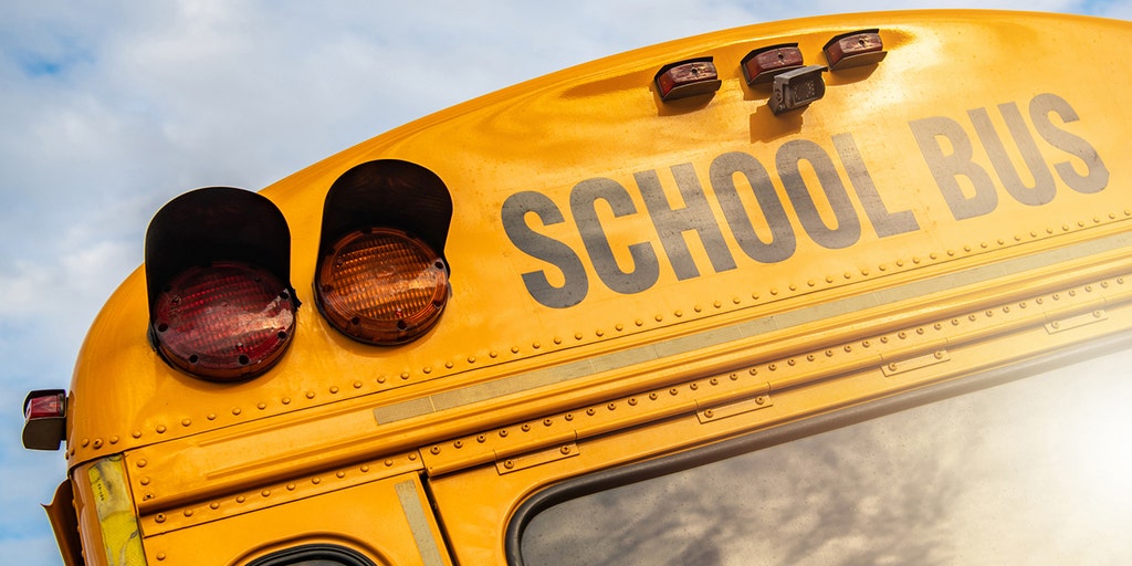 5-year-old child hit, killed by school bus in New York - Vimarsana News