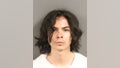 Carlos Dominguez, 21, is accused of stabbing three people, two fatally, in the college town of Davis California over several days. On Friday, he pleaded not guilty in his first court appearance.
