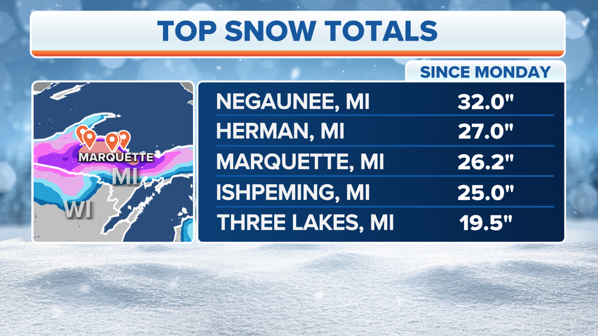 Michigan snow totals