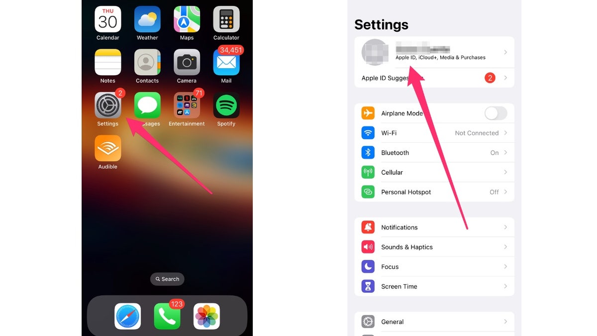 Screenshot of the Apple home screen and settings screen.