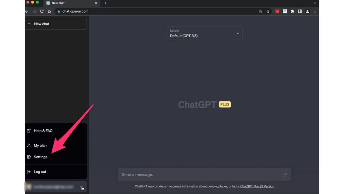 ChatGPT settings screenshot