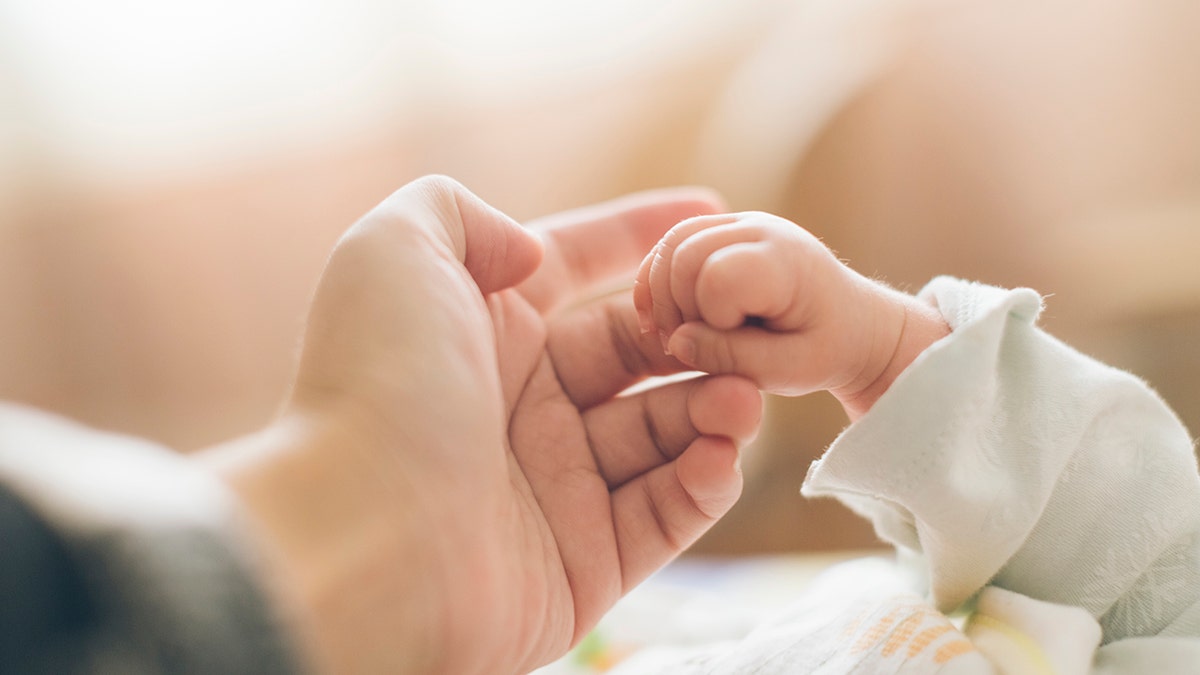 adult holds baby's hand