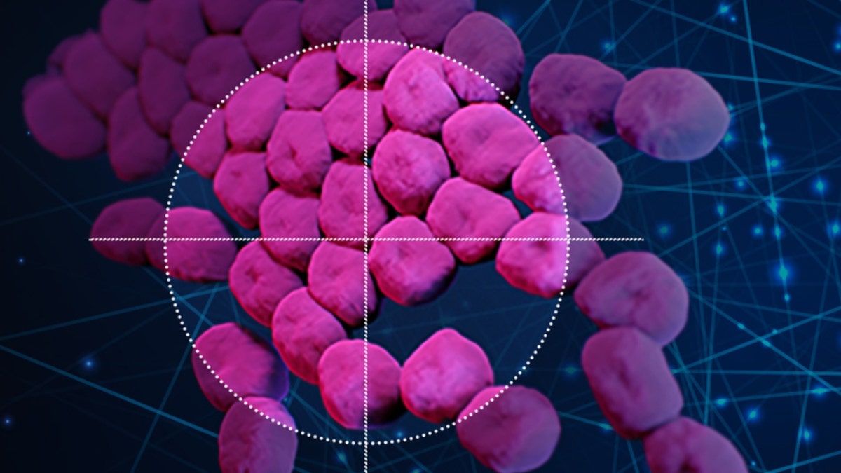 Acinetobacter baumannii