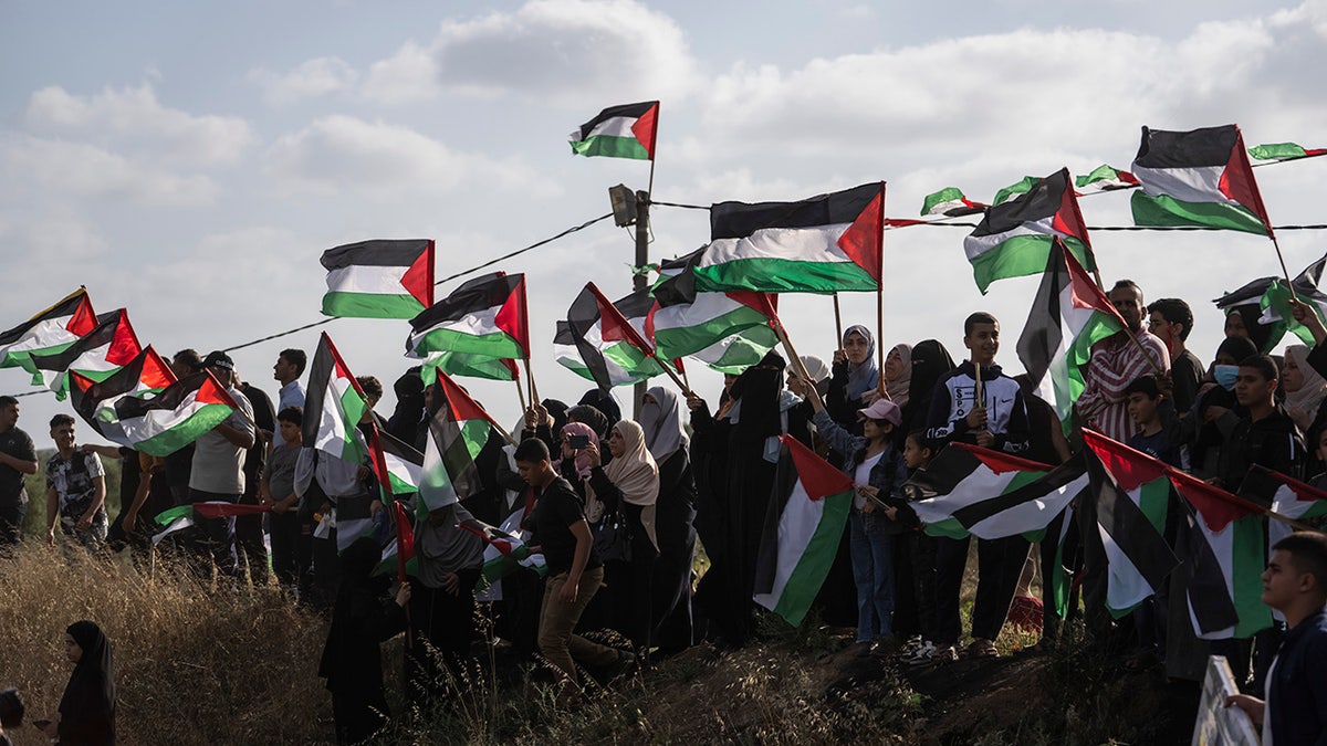 Palestinians protesting with Palestine flags