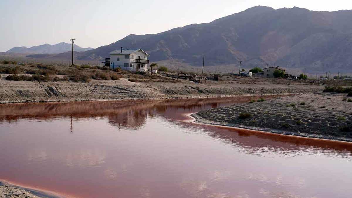 Polluted canal