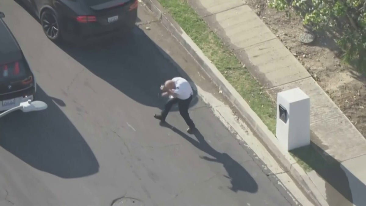 bees swarming man in street