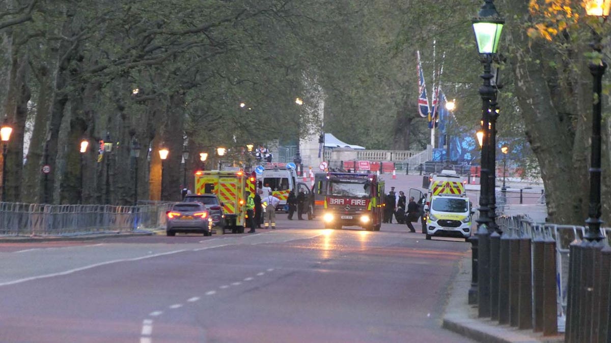 A controlled explosion has been carried out and a man has been detained for throwing explosive items into the ground of Buckingham Palace on Tuesday, May 2, 2023.