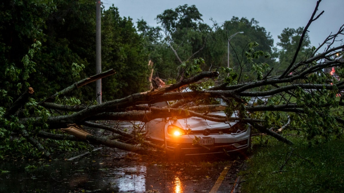 A vehicle is crushed by a fallen tree in Virginia Beach