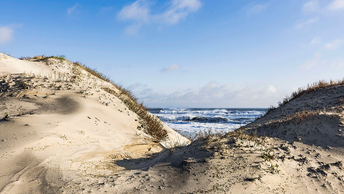 Dunes and ocean at Cape Hatteras National Seashore