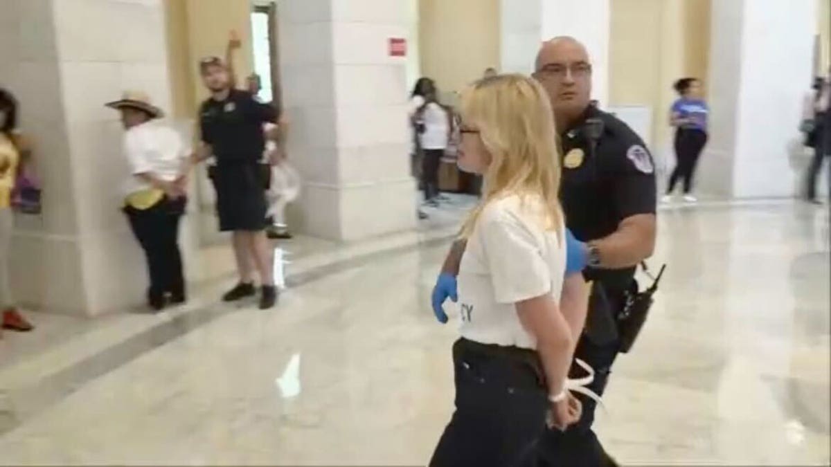 Capitol Hill protestor arrested