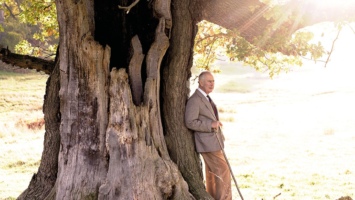 King Charles in an earth-toned suit leaning next to a tree