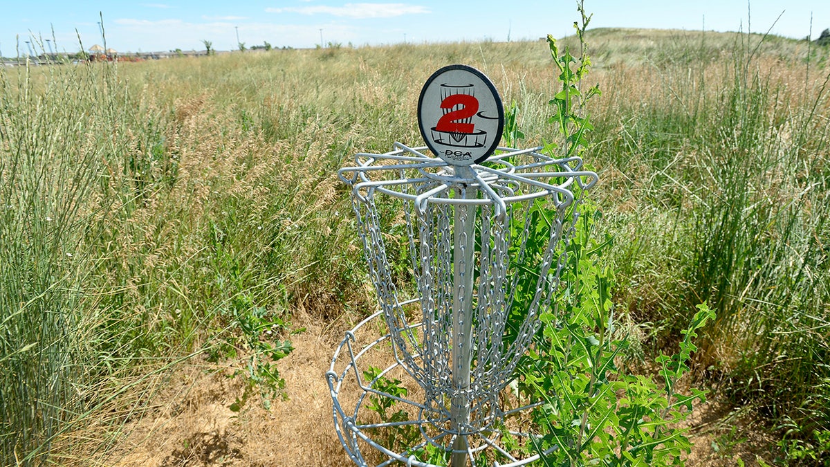 A disc golf basket