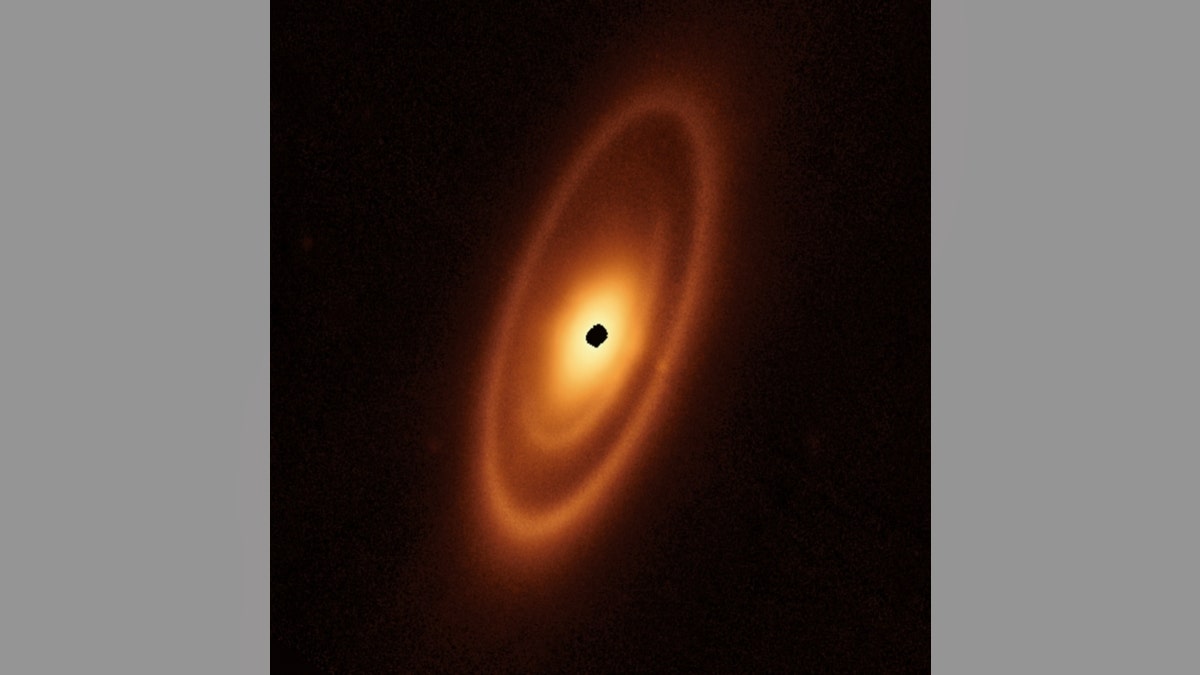 The dusty debris disk surrounding the young star