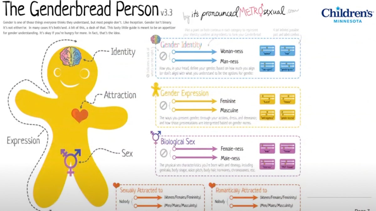 gender ideology gender bread identity