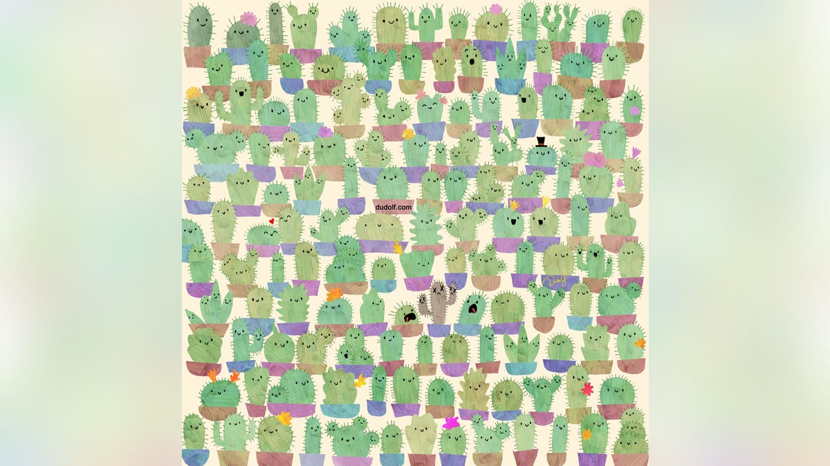 Gergley cacti puzzle