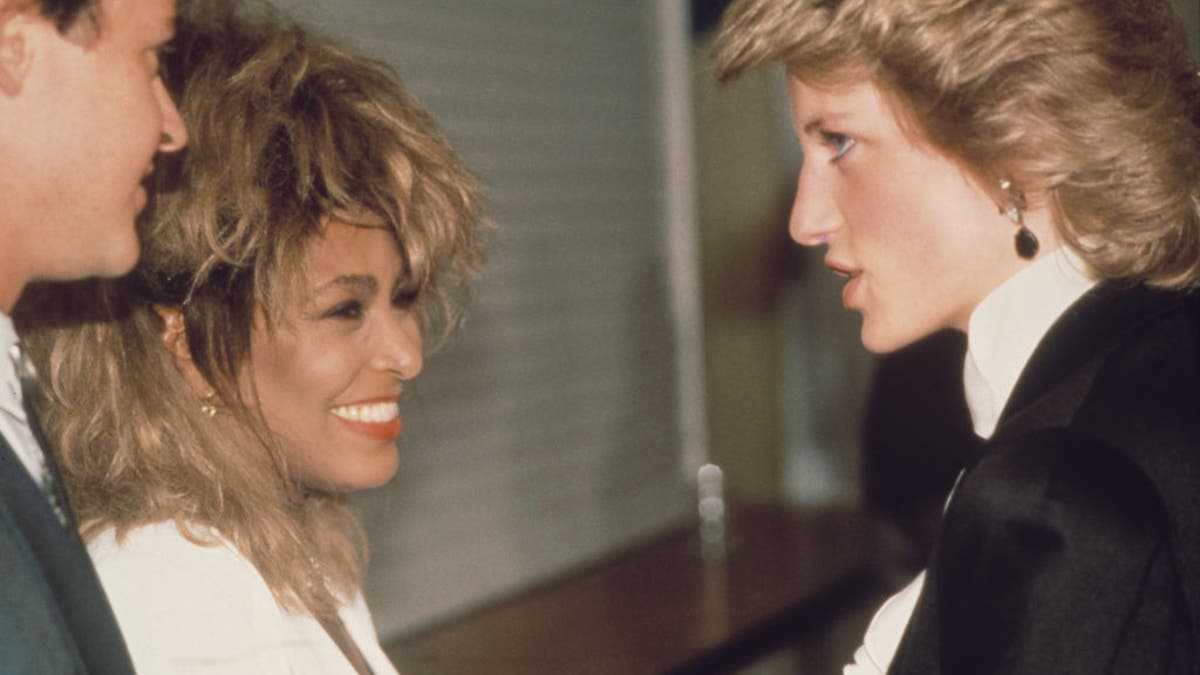 princess diana meeting tina turner