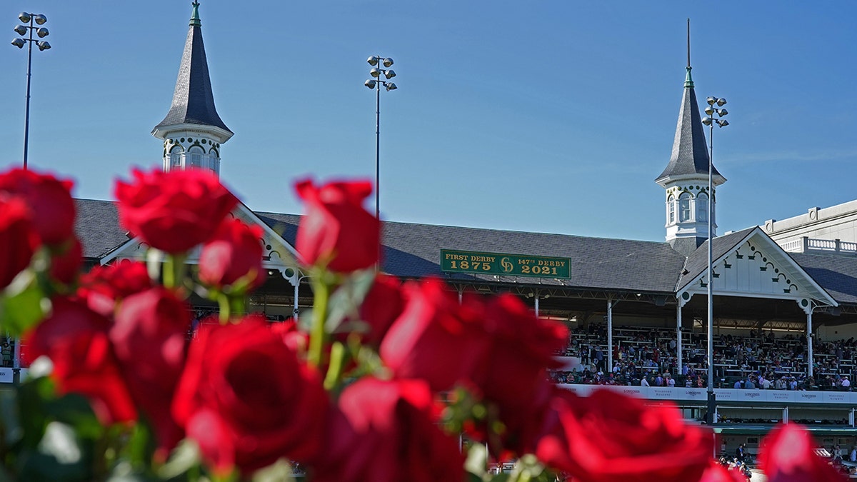 Roses and twin spires