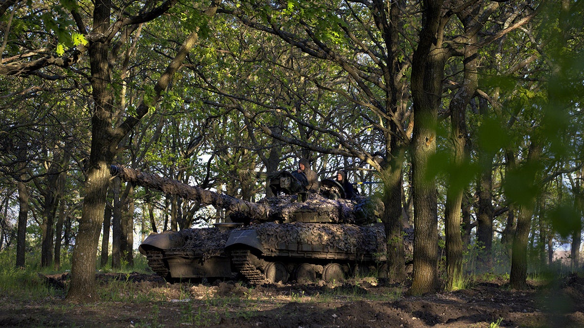 Ukraine military in region by nuclear plant