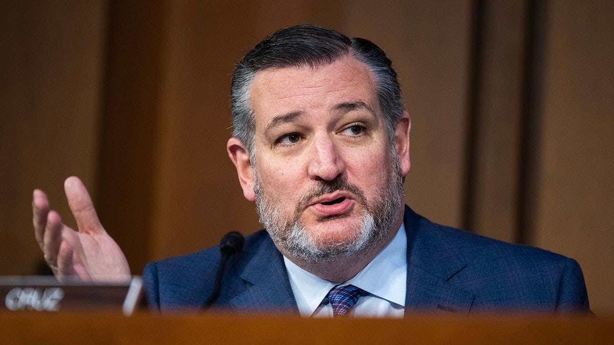 Ted Cruz durante una audiencia en el Senado