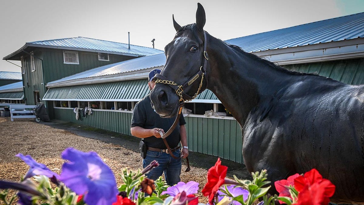 First Mission ahead the Preakness