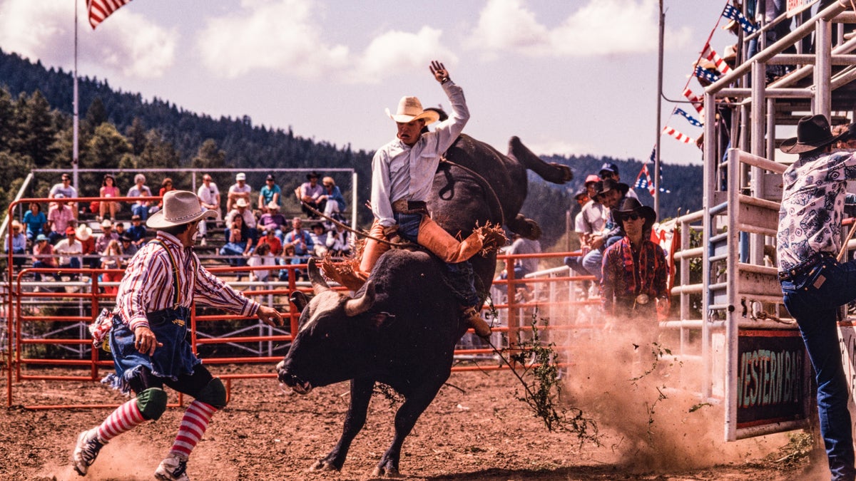 Rodeo New Mexico