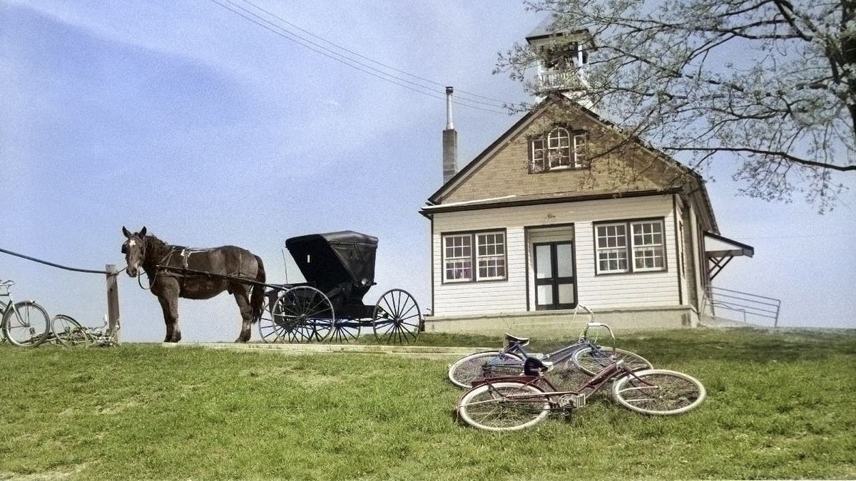 Multiple bikes and a horse and buggy left outside a schoolhouse.