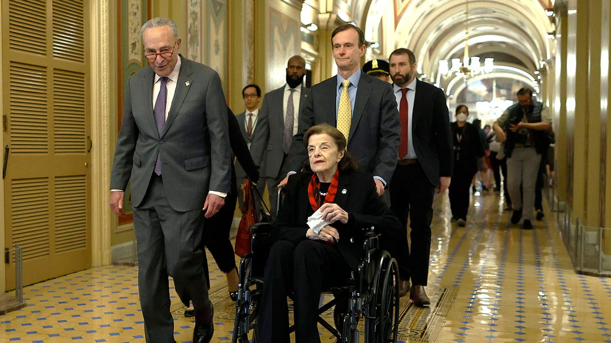 Dianne Feinstein, Chuck Schumer