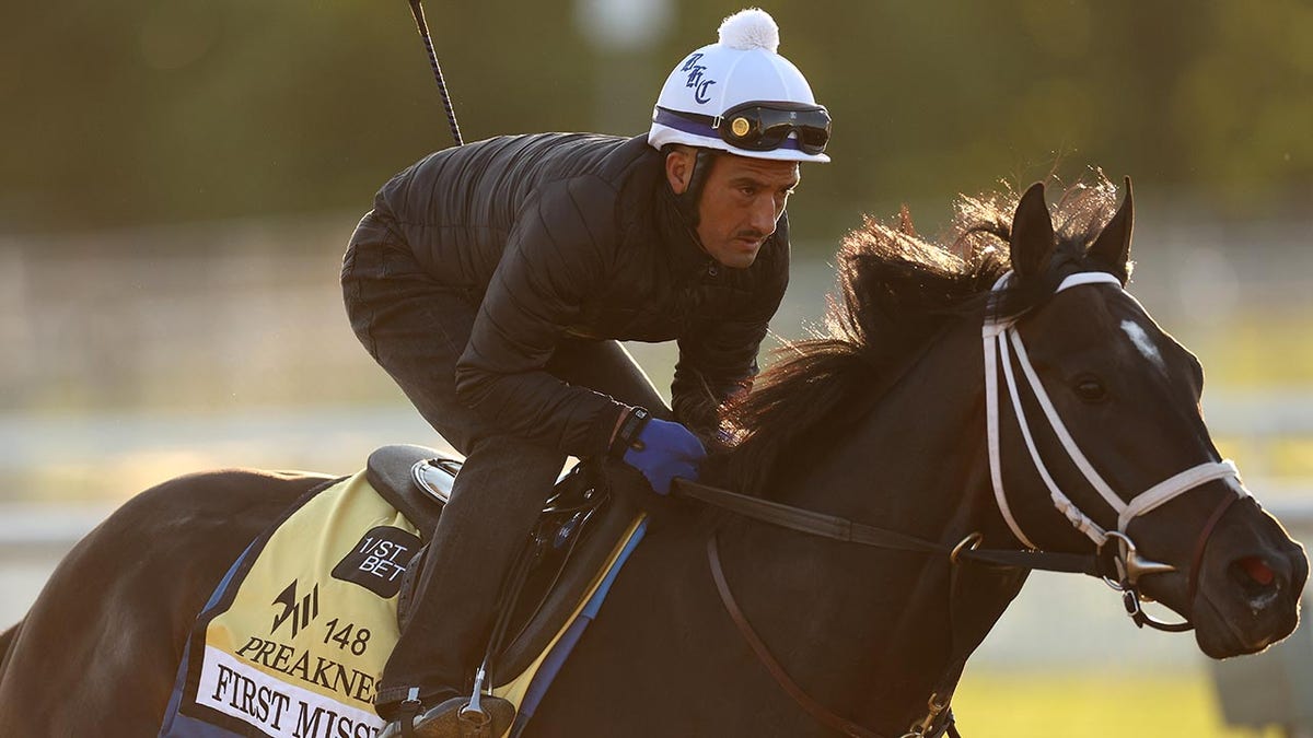 First Mission during a training session ahead Preakness