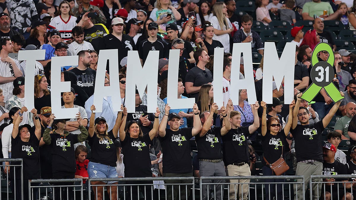 The White Sox crowd holds a Liam Hendriks sign