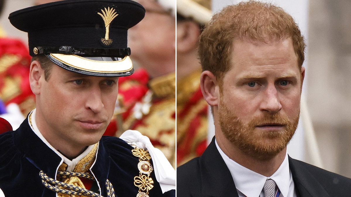 Split side-by-side image of Prince William and Prince Harry