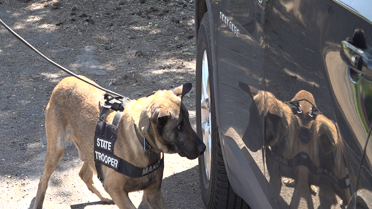 Canines help Oregon State Police find fentanyl