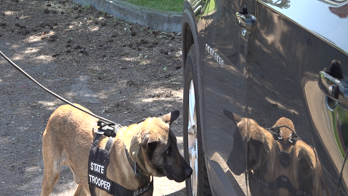 Canines help Oregon State Police find fentanyl