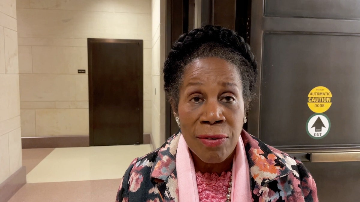 Sheila Jackson Lee discusses the fentanyl crisis