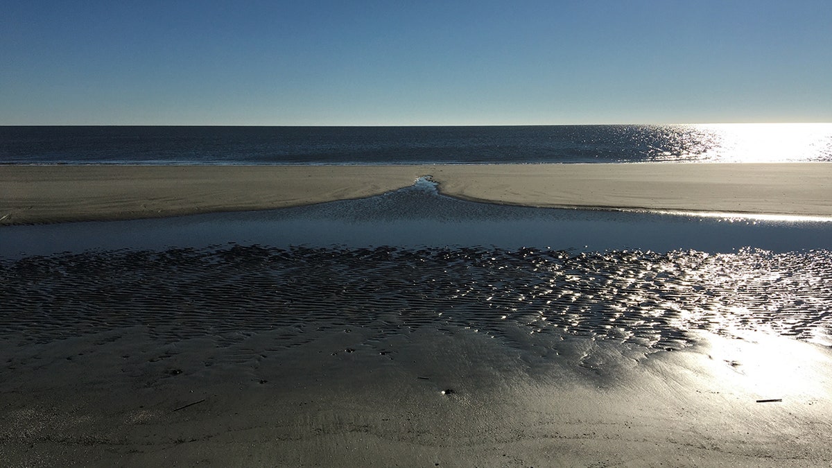 Beach on Jekyll Island, Georgia