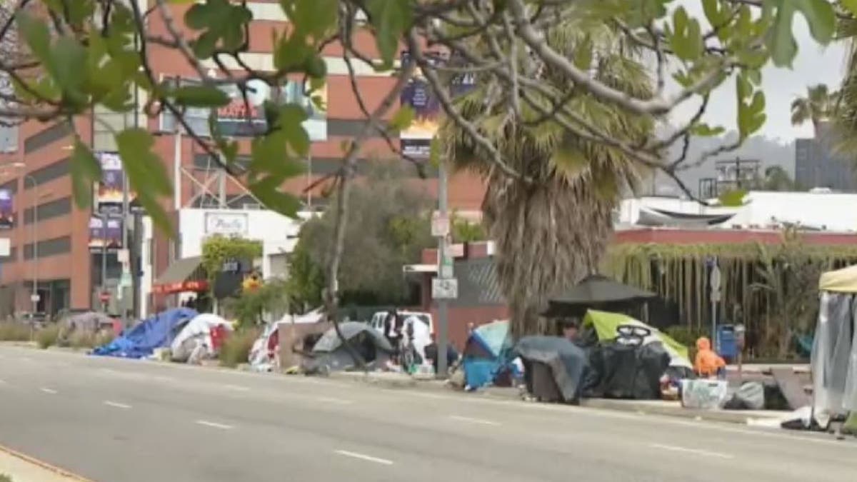 A picture of homeless peoples tents
