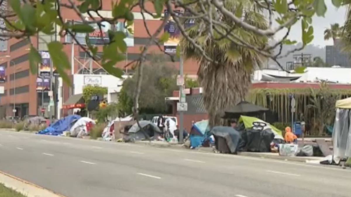 A picture of homeless peoples tents