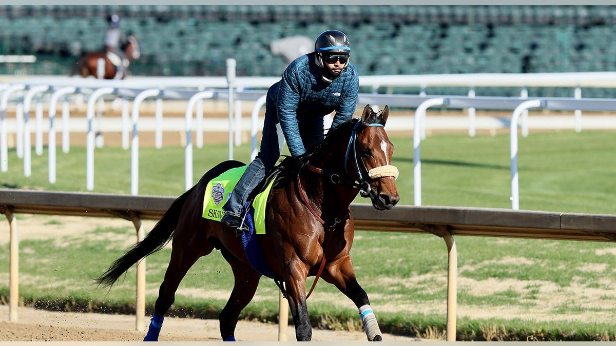 Horse runs during training at Churchill Downs